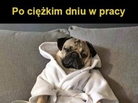 Po ciężkim dniu w pracy ;D