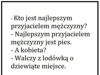 Najlepszy przyjaciel faceta