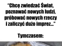 Tymczasem...