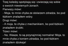 Trzej koledzy spotykają się i zwierzają się sobie o swoich niewiernych żona... :D