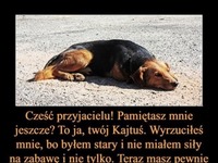 Jak można być takim człowiekiem bez serca?