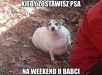 Co ona zrobiła...