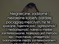 Niegrzeczne, zadziorne i niezależne kobiety..