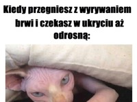 Oczekujemy