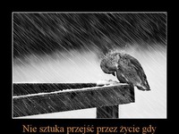 Przejdź przez życie