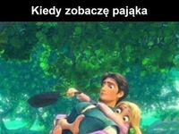 Kiedy zobaczę pająka ;D