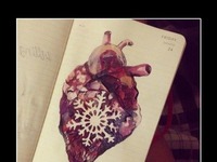 Lodowate serce