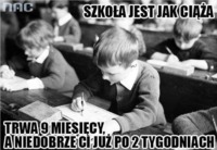 Szkoła jest jak ciąża, trwa 9 miesięcy, a niedobrze Ci po...