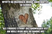 Wyryte na drzewach imion zakochanych są słodkie, ale z drugiej strony...