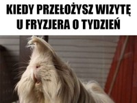 Tak się dzieje ;D