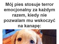 I wiesz jak to sie kończy...