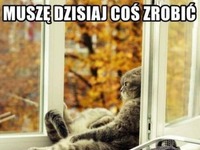 Muszę coś dzisiaj zrobić ;)