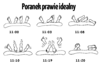 Poranek idealny