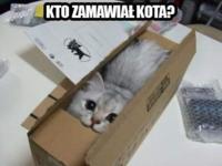 Czy ktoś zamawiał?:D