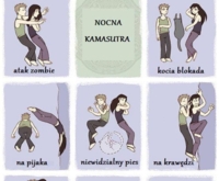 Kamasutra - a wy jaką pozycje lubicie najbardziej, może kocia blokada? :D