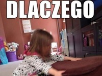 Dlaczego je polubiłeś! ;D