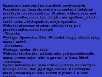 Egzamin z anatomii. Student wkłada rękę pod prześcieradło i musi zgadnąć jaka to część ciała. Nie zgadniecie co wycięgnęła jedna kobieta!