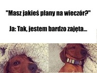 Moje plany na wieczór