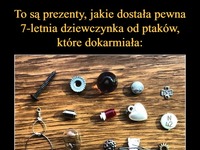 To są prezenty, jakie dostała pewna 7-letnia dziewczynka od ptaków, które dokarmiała