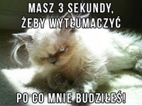 Masz 3 sekundy