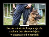 Suczka o imieniu Liu pracuje dla szpitala. Jest skuteczniejsza w diagnozie od elektroniki!