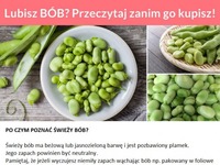 Lubisz BÓB? Przeczytaj zanim go kupisz!