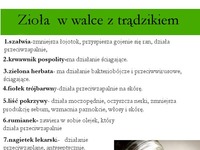 Zioła, które pomogą ci w walce z trądzikiem