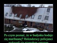 Po czym poznać, że w budynku hoduje się marihuanę? Holenderscy policjanci wykazali się niemałym sprytem!