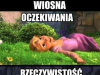 Wiosna oczekiwania VS rzeczywistość