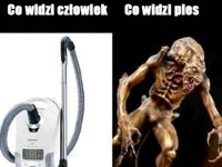 Już wszystko wiem!