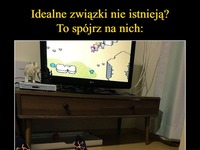 Idealne związki jednak istnieją... Spójrzcie na nich!