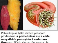 Użyj tych 2 składników, a pozbędziesz się wszelkich złogów tłuszczu i pasożytów z organizmu