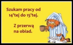 Szukam pracy