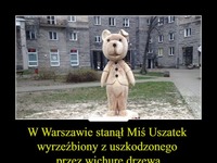 W Warszawie stanął Miś Uszatek wyrzeźbiony z uszkodzonego przez wichurę drzewa