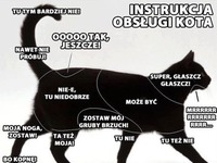 Instrukcja obsługi kota