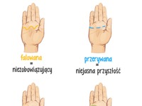 Jaki masz kształt linii Przyjrzyj się swojej dłoni, a dowiesz się prawdy o sobie