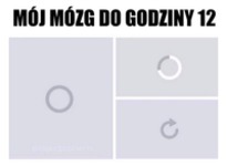 Mój mózg