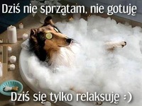 Dzisiaj się relaksuję ;D