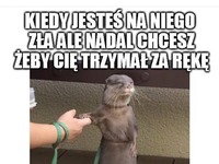 Kiedy jesteś na niego zła