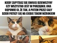 Wszystko ok...