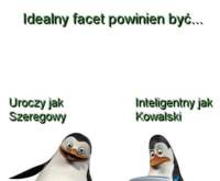 Jaki powinien być idealny facet? Inteligentny jak...  ;)