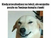 Kiedy przeszkadzasz na lekcji