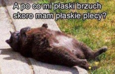 Płaski brzuch mi nie potrzebny ;D