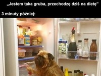 Przechodzę na dietę, jestem gruba