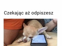 Kiedy czekasz na odpisanie...