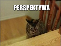 Perspektywa