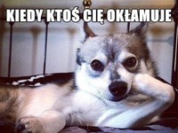 Kiedy ktoś Cię okłamuje... ;P