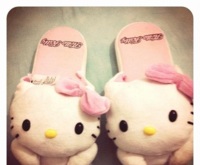 Papcie Hello Kitty