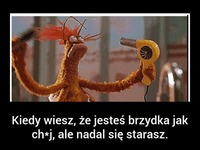 Kiedyś się uda