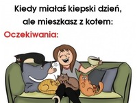 Kiedy miałaś ciężki dzień, ale mieszkasz z kotem ;P